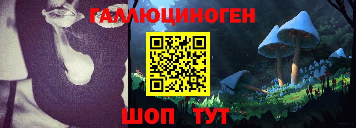 Назрань  Галлюциногенные грибы Psilocybine cubensis  магазин  наркотиков  Псилоцибиновые грибы мицелий  Вход с VPN 