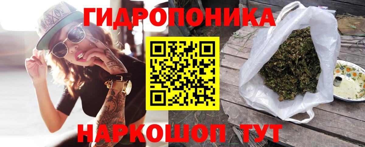 Конопля конопля  Бошки марихуана конопля  Назрань  Вход с VPN 